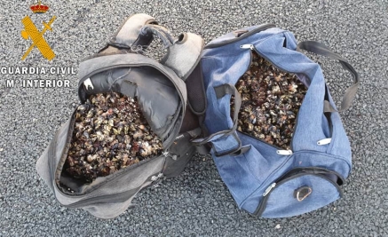 La Guardia Civil Incauta Kilos De Percebes A Tres Personas Por Pesca