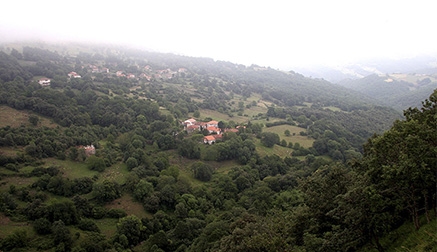 Medio Rural abona 8,4 millones de euros en ayudas del Programa de Desarrollo Rural 2014-2020