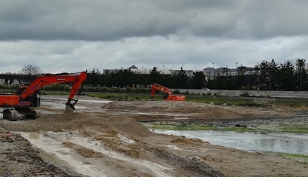 Respuesta de la Autoridad Portuaria a SEO/BirdLife sobre el relleno de las marismas de Raos