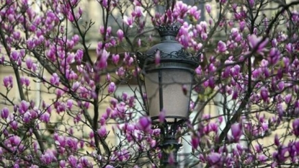 Comenzó la primavera que durará 92 días y 18 horas