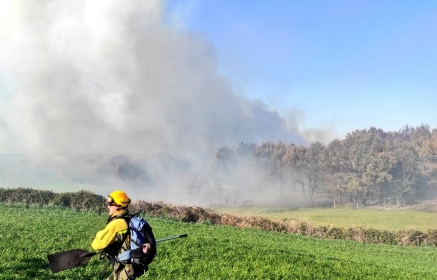 Son 87 los incendios forestales registrados en los primeros nueve días de abril
