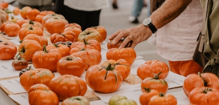 La VI Feria Nacional del Tomate Antiguo se celebrará el 24 de agosto en Polanco