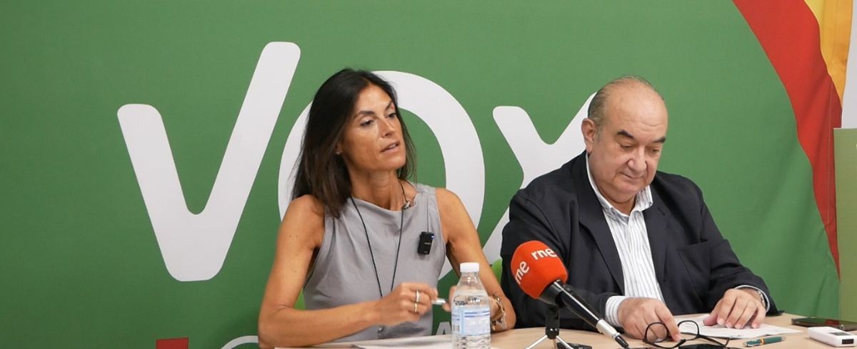 VOX lleva al Congreso una iniciativa para proteger el espigón Sur de la Dársena de Molnedo